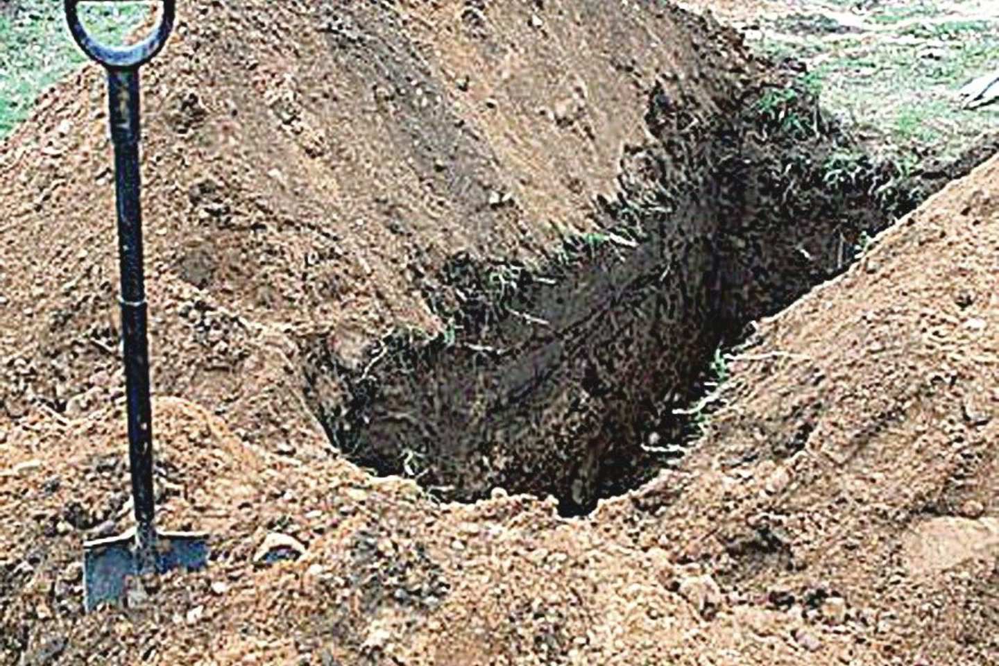 Jaunas biržietis iš pradžių žiūrėjo, kaip nusikaltėliai miške kasa duobę, o po to buvo į ją įmestas ir net užkasamas.<br> Asociatyvi nuotr.