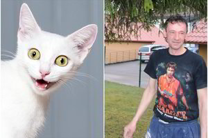 Telšiuose katinas iškrėtė nemalonų pokštą jį gelbėjusiam vyrui