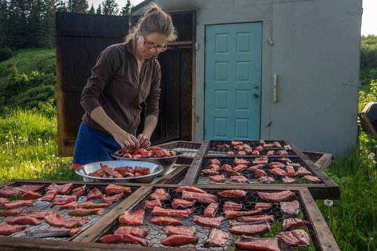 Lietuvė, gyvenanti Aliaskoje, moko, kodėl svarbu valgyti mėsą