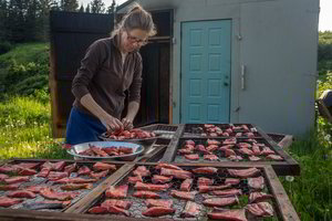 Lietuvė, gyvenanti Aliaskoje, moko, kodėl svarbu valgyti mėsą