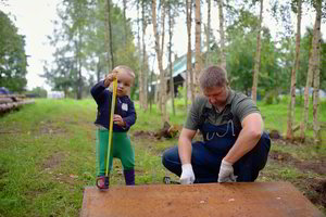 Emigrantas atsakė, kodėl atostogauti vyksta į Lietuvos provinciją, o ne Egiptą