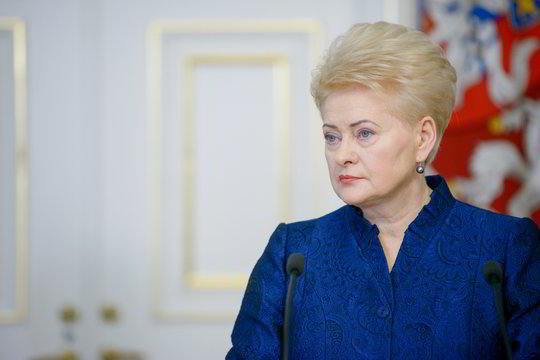 ES ekspertų apklausoje D. Grybauskaitei prognozuojamas svarbus postas