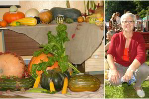 Kaunietės pensininkės lysvėse – tiesiog neįtikėtinos daržovių kolekcijos 