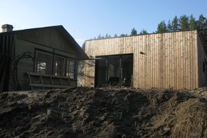 Namą pasistačiusios vilnietės patarimų prašo ir į statybas įsisukę vyrai