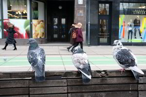 Kaunas Laisvės alėjos rekonstrukcijai galės išleisti 1,75 mln. eurų daugiau nei skelbė