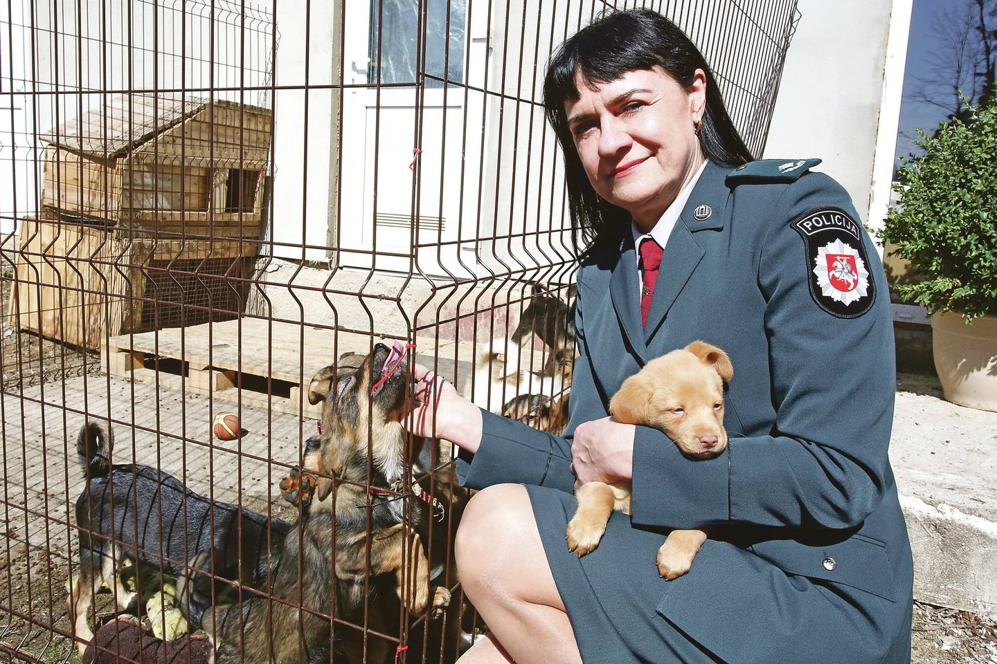 Sunkius nusikaltimus tirianti A.Gecevičienė laisvu laiku lanko gyvūnų prieglaudą ir rūpinasi beglobiais šunimis. Ji ne vienam keturkojui padėjo rasti namus.<br>M.Patašiaus nuotr.