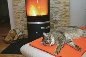 Signalas perkantiems butą: vienas patrauklus dalykas gali virsti amžinu galvos skausmu 