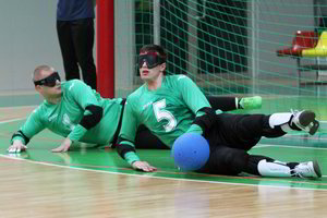 Parolimpinių žaidynių čempionui M. Panovui siūloma skirti valstybinę pensiją