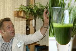 Garsaus onkologo perspėjimas: to venkite, nes gali sukelti vėžį