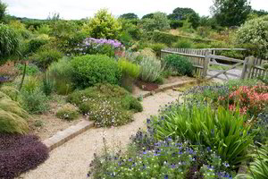 Visus metus žavintis sodas – tokį galite turėti visi, tereikia kai ką įsidėmėti 