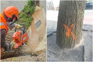 Šilutės valdininkams – advokato kirtis: įžvelgė pinigų grobstymo schemą