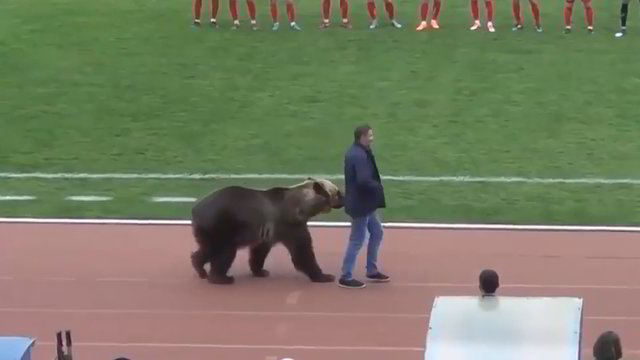 Gyvūnų teisių gynėjai įsiuto dėl vaizdo įrašo iš futbolo rungtynių Rusijoje