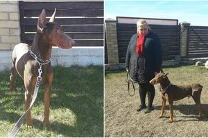 Prabilo kūdikį pražudžiusio Ramzio globėja: „Jis neagresyvus“