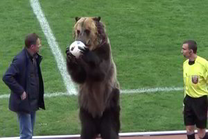 Meškos pasirodymas Rusijos stadione supykdė: „Ji dresuota žiauriu būdu“