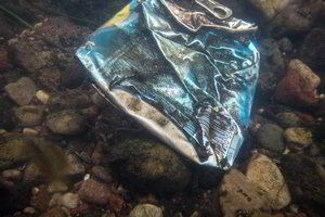 Kokią žalą daro užteršti vandens telkiniai?