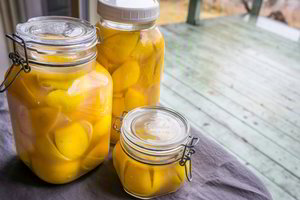 Raugintos citrinos: vargo mažai, o nauda – milžiniška