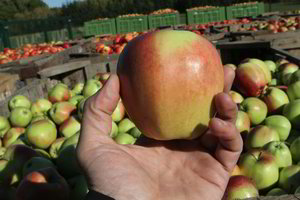 Atkakli policininkė pasiekė savo – diena turguje gerokai papildė kišenę