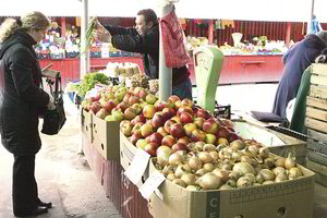 Pirko obuolių – laimėjo 5 tūkst. eurų