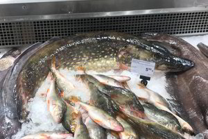 Prekybos centro vitrinoje žvejys išvydo tai, ko dabar būti neturėtų