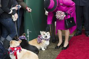 Anglijos karalienę Elizabeth II nuliūdino skaudi netektis