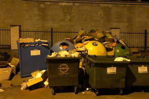 Vilniečiai savo šiukšles priversti fotografuoti net naktį