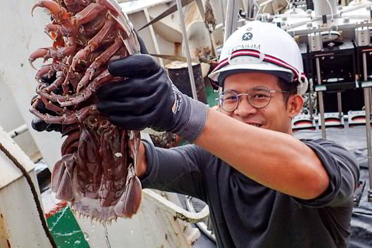 Į jūros gelmes nusileidę mokslininkai ištraukė pabaisas, kokių dar neregėjo