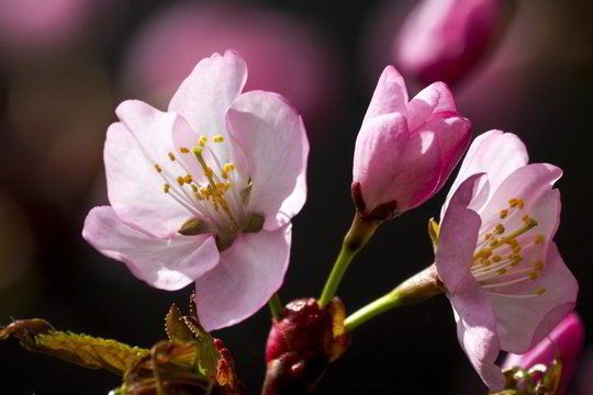 Orai: šiluma trumpam sugrįš, bet savaitgalį jau laukia pokyčiai