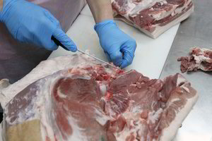 Kauniečius įtaria nelegalia veikla – prekiavo lenkiška kiauliena šešėlyje