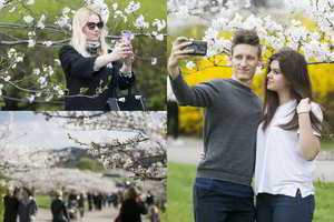 Vilniečiai grožėjosi pražydusiomis sakuromis 