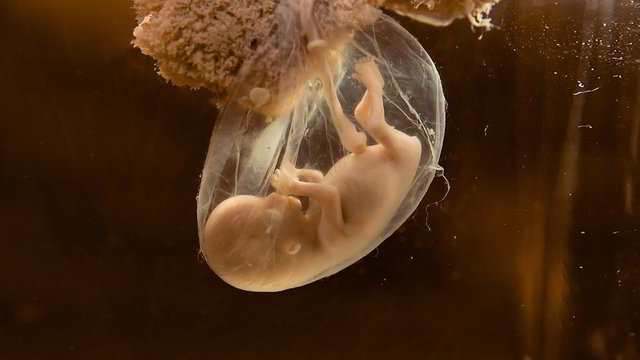 Nauja technologija tėvams leis rinktis iš šimtų apvaisintų embrionų