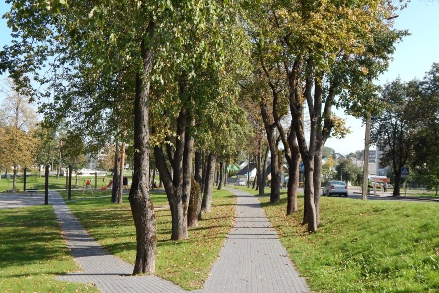 Raseiniškiai socialiniuose tinkluose dalijosi nerimo kupinais pranešimais, kad Raseinių Maironio parke masiškai pjaunami medžiai.<br> miestai.net nuotr.