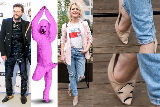 Rožinis pudelis šią savaitę papeikė Liucinos batelius ir stilisto lateksinį stilių