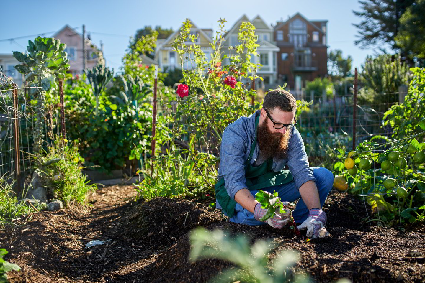 Tyrimuose pateikti duomenys byloja, kad sodininkai pasižymi geresne fizine sveikata, mažesniu antsvoriu ir bendrai yra labiau patenkinti gyvenimu.<br> Shutterstock nuotr.