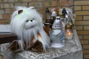 Baisi nelaimė Skuodo r.: artimieji nepastebėjo, kaip nuskendo 2-metis