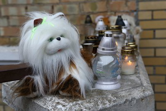 Baisi nelaimė Skuodo r.: artimieji nepastebėjo, kaip nuskendo 2-metis