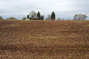 Naujas NT mokestis:  paaiškino, ar teks mokėti sodininkams, garažų ir sodybų savininkams