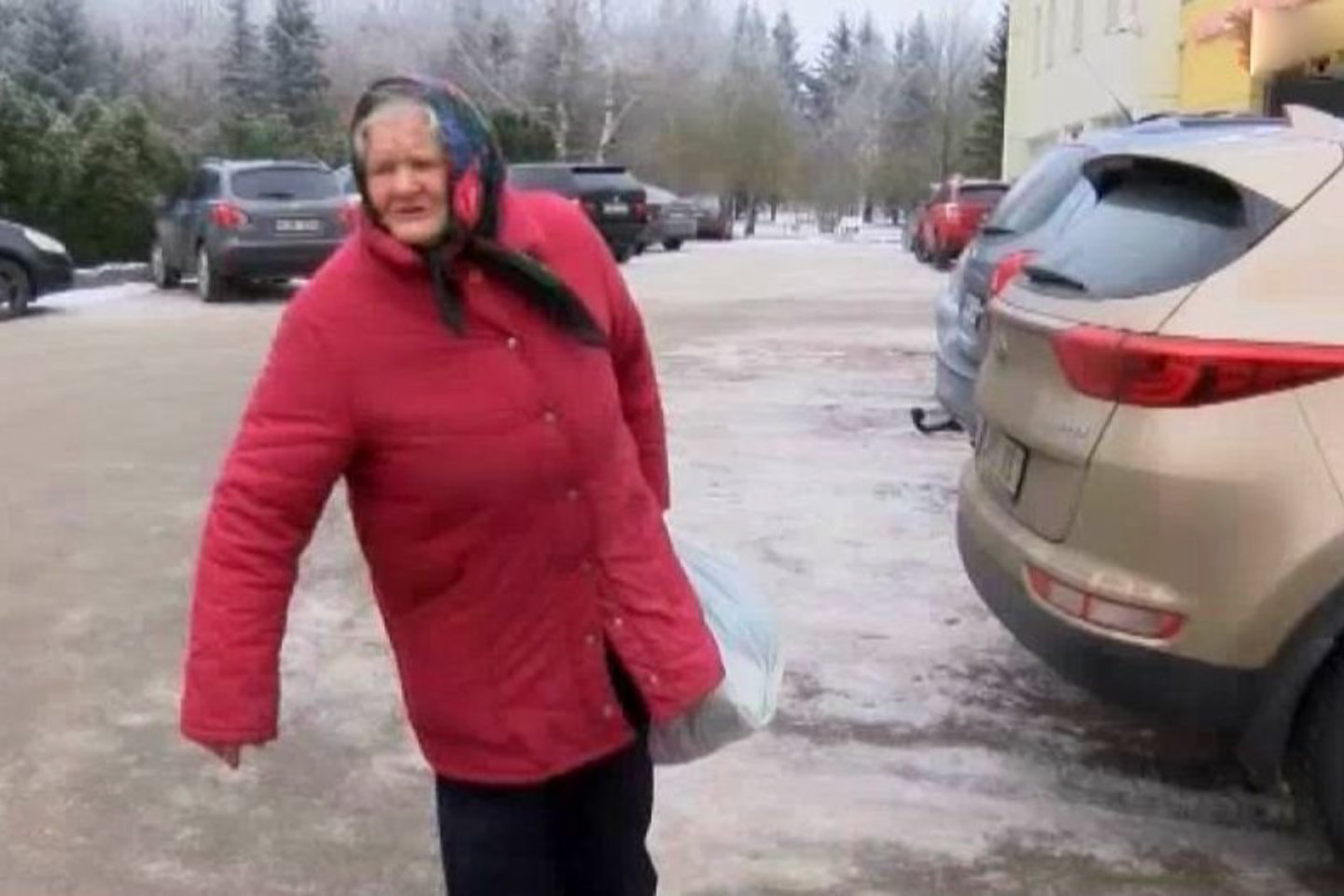 Savo namuose Alksnėnų kaime gyvą pūvantį vyrą prižiūrėjo motina. Ji atsisakė sūnų patikėti gydytojams, nes esą jie jos vaiką numarins.<br> Stop kadras