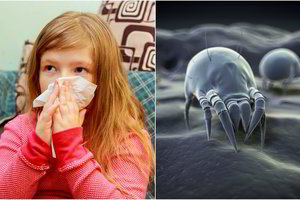 Paaiškino, kad dėl kvėpavimo takų ligų kalti gali būti ir seni baldai