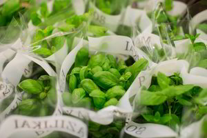 Visus metus žaliuojantis prieskoninių žolelių daržas: ką renkasi lietuviai?