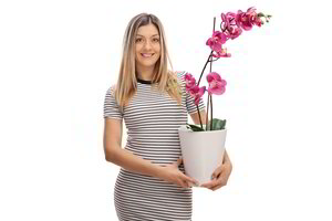 Kambariniai augalai pagal Zodiako ženklą: kas jums traukia laimę