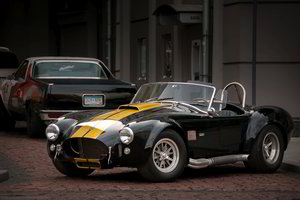 Išskirtinių automobilių savininkus kviečia į nematytą grožio konkursą