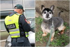 Kauno gyvūnų prieglaudoje – policijos pareigūnų vizitas