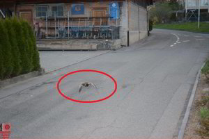 Šveicarijoje radaras užfiksavo du kartus greitį viršijusią antį