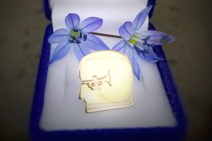 Klaipėdoje bus teikiami „Džiazo žvaigždės“ apdovanojimai