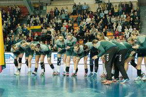 Lietuvos moterų ir vyrų rankinio rinktinių laukia svarbiausios metų kovos