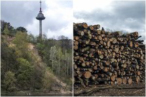 Vilniečiai sunerimę: Karoliniškėse nuošliauža smenga į upę, o parke kertami medžiai