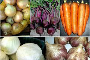 Pasižymėkite: derlingiausios lietuviškos daržovių veislės, kurių nereikia daug tręšti