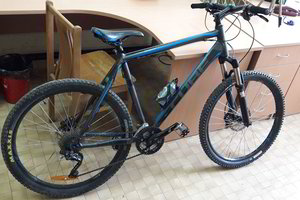 Kaune policija sučiupo du dviračių vagis