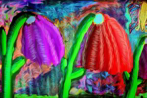 Martyno Mažvydo bibliotekoje – unikalūs darbai: sunku patikėti, kas juos kūrė