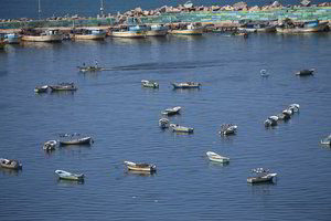 Palestiniečių pareigūnai: Izraelis smogė Gazos jūrų uostui